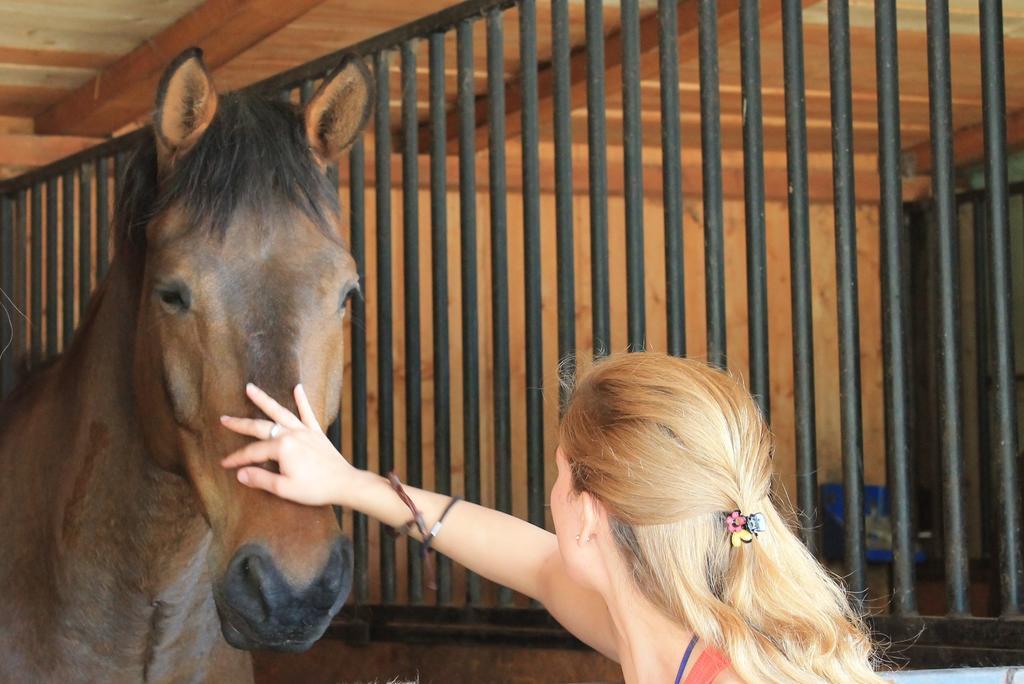 Stajnia Sarnowek Nad Jeziorem Rozany Rozajny Wielkie Dış mekan fotoğraf