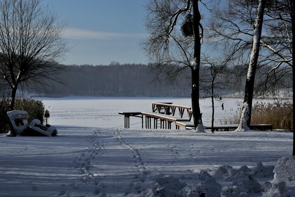 Stajnia Sarnowek Nad Jeziorem Rozany Rozajny Wielkie Dış mekan fotoğraf