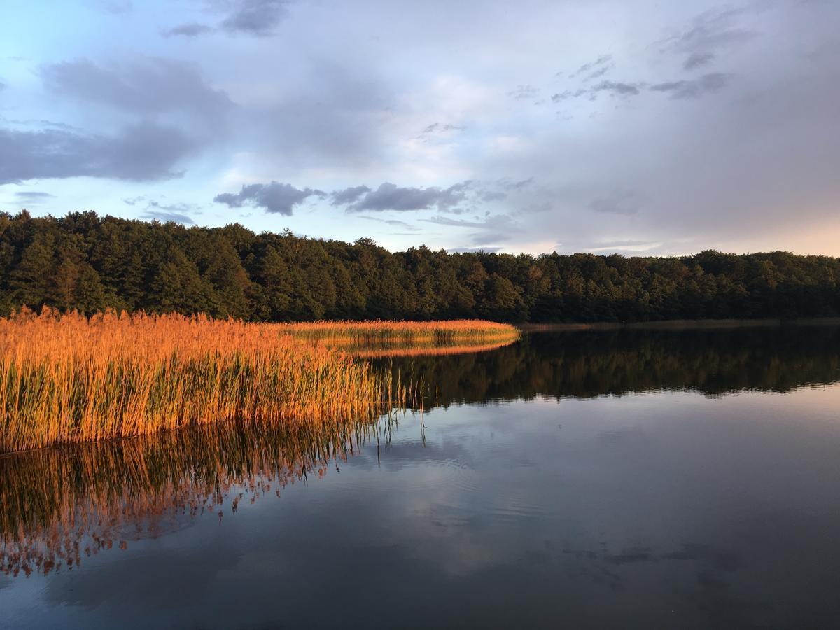 Stajnia Sarnowek Nad Jeziorem Rozany Rozajny Wielkie Dış mekan fotoğraf